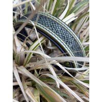 Lederhalsband Moss Ridge HU 36-43cm